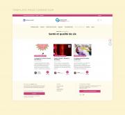 Insieme blog page carrefour